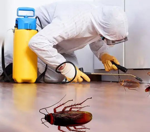 Effective Anti-Termite Treatment in Gurgaon: Protect Your Property