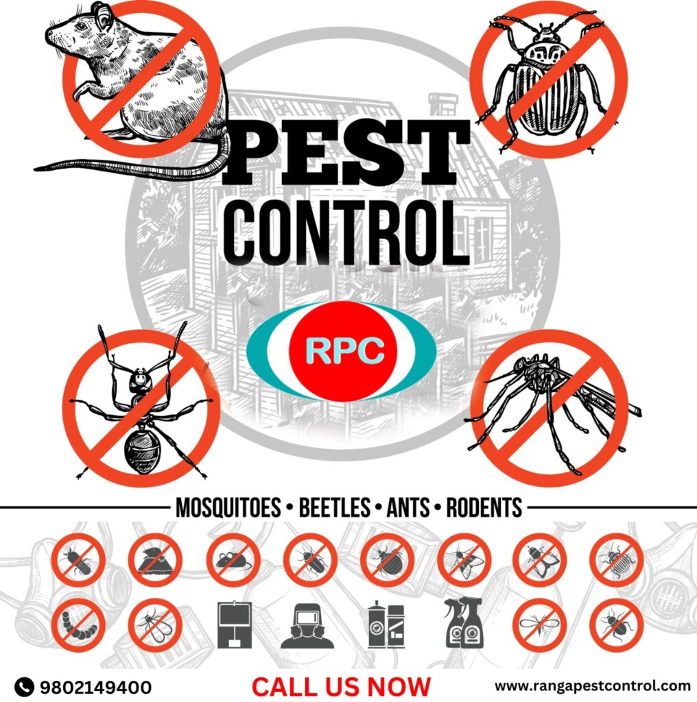 anti termite treatment in gurgaon