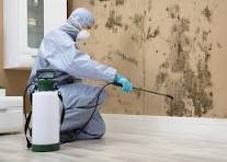 best pest control in jamnagar