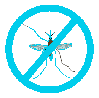 Best Pest Control in Rohtak Near Me