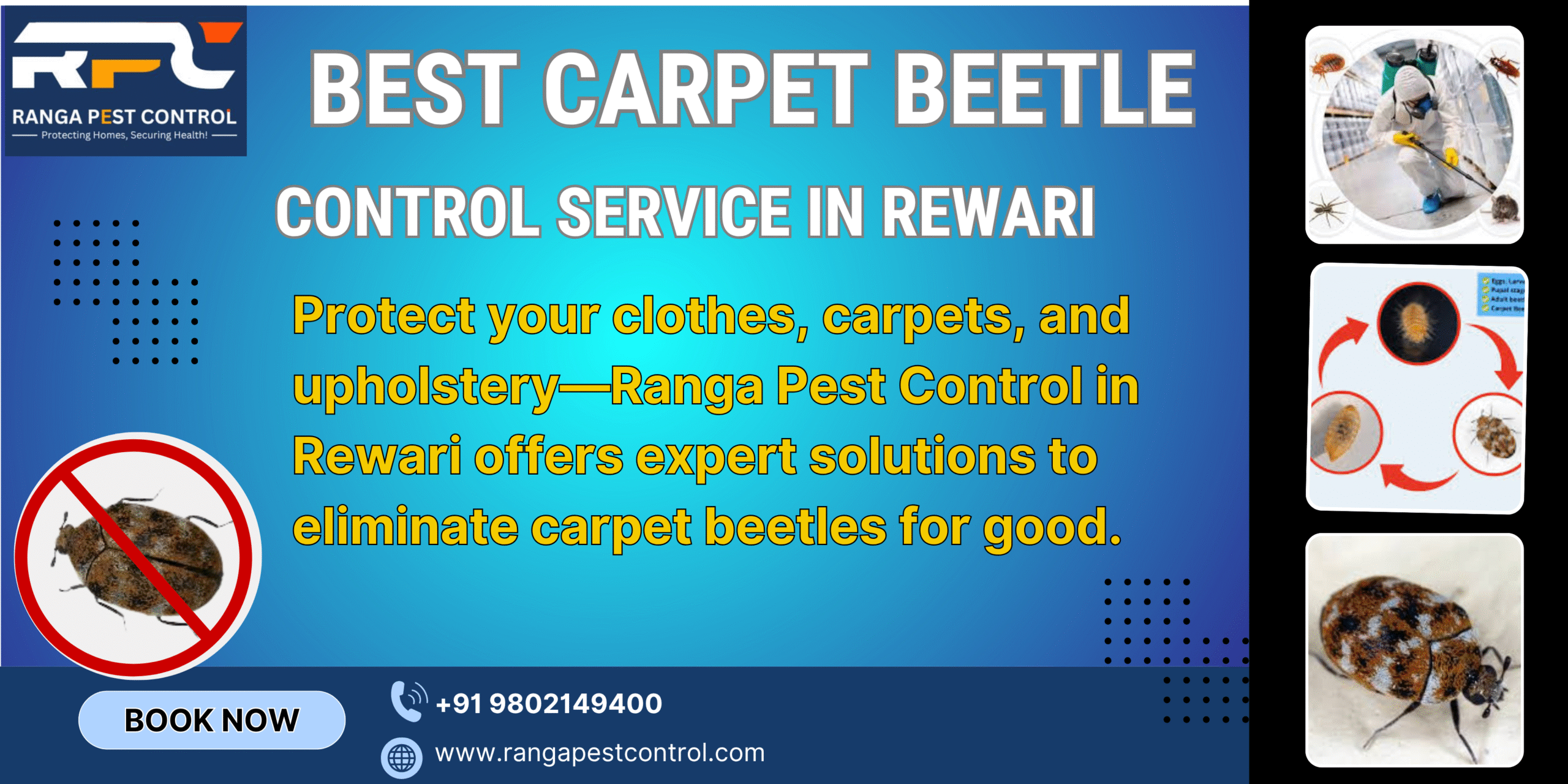 Best Carpet Beetle Control Service in Rewari