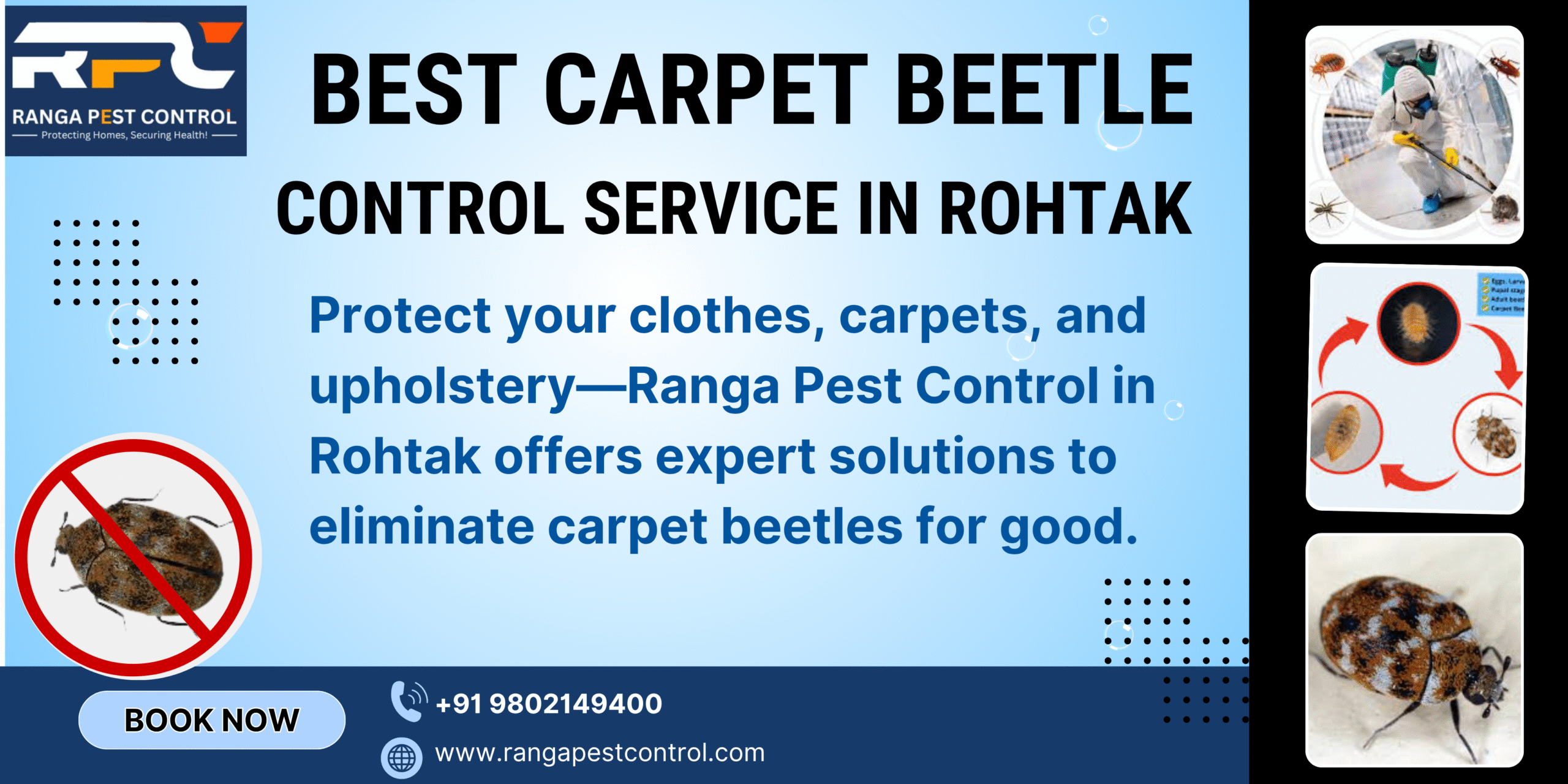 Best Carpet Beetle Control Service in Rohtak