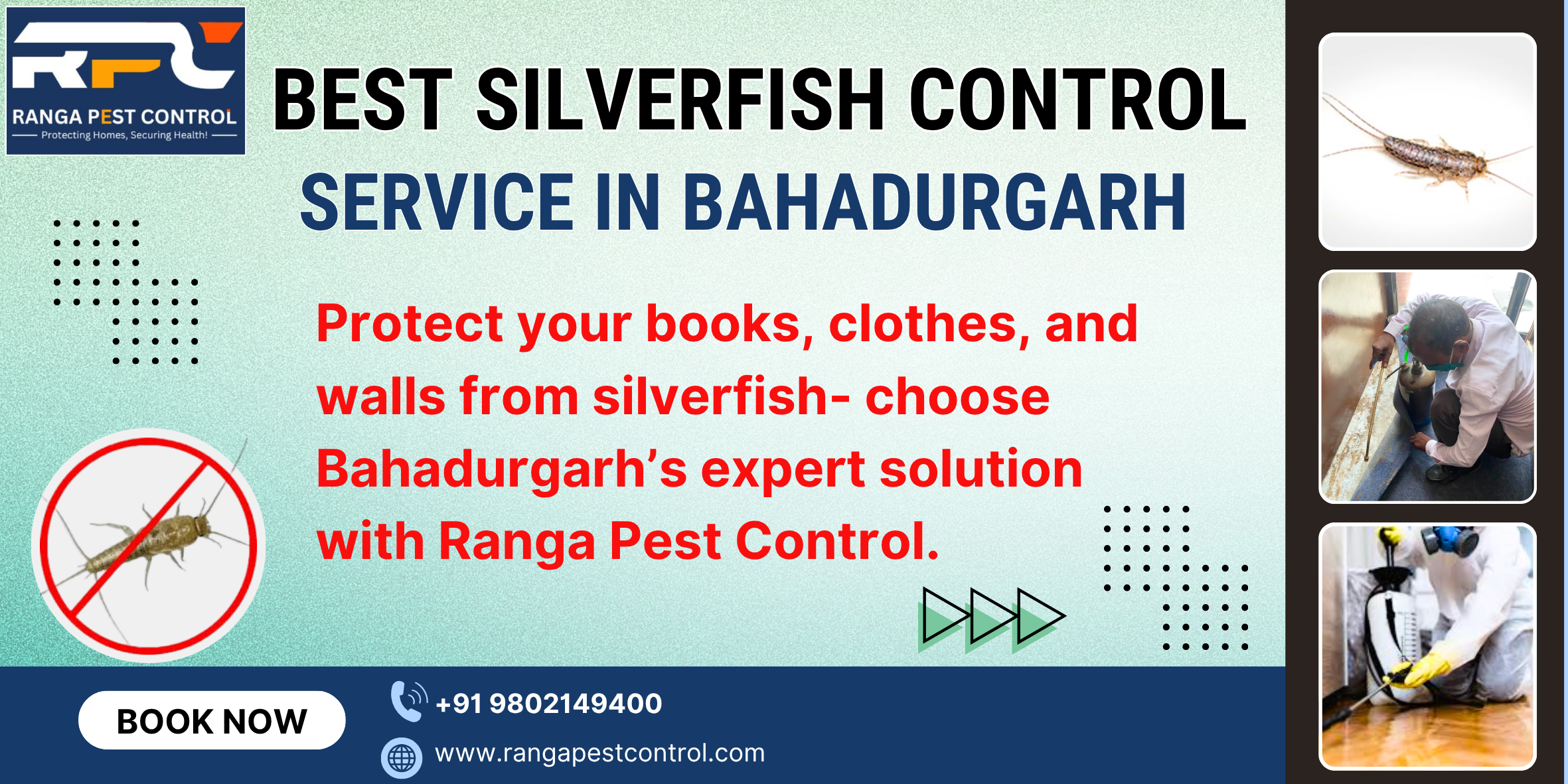 Best Silverfish Control Service in Bahadurgarh