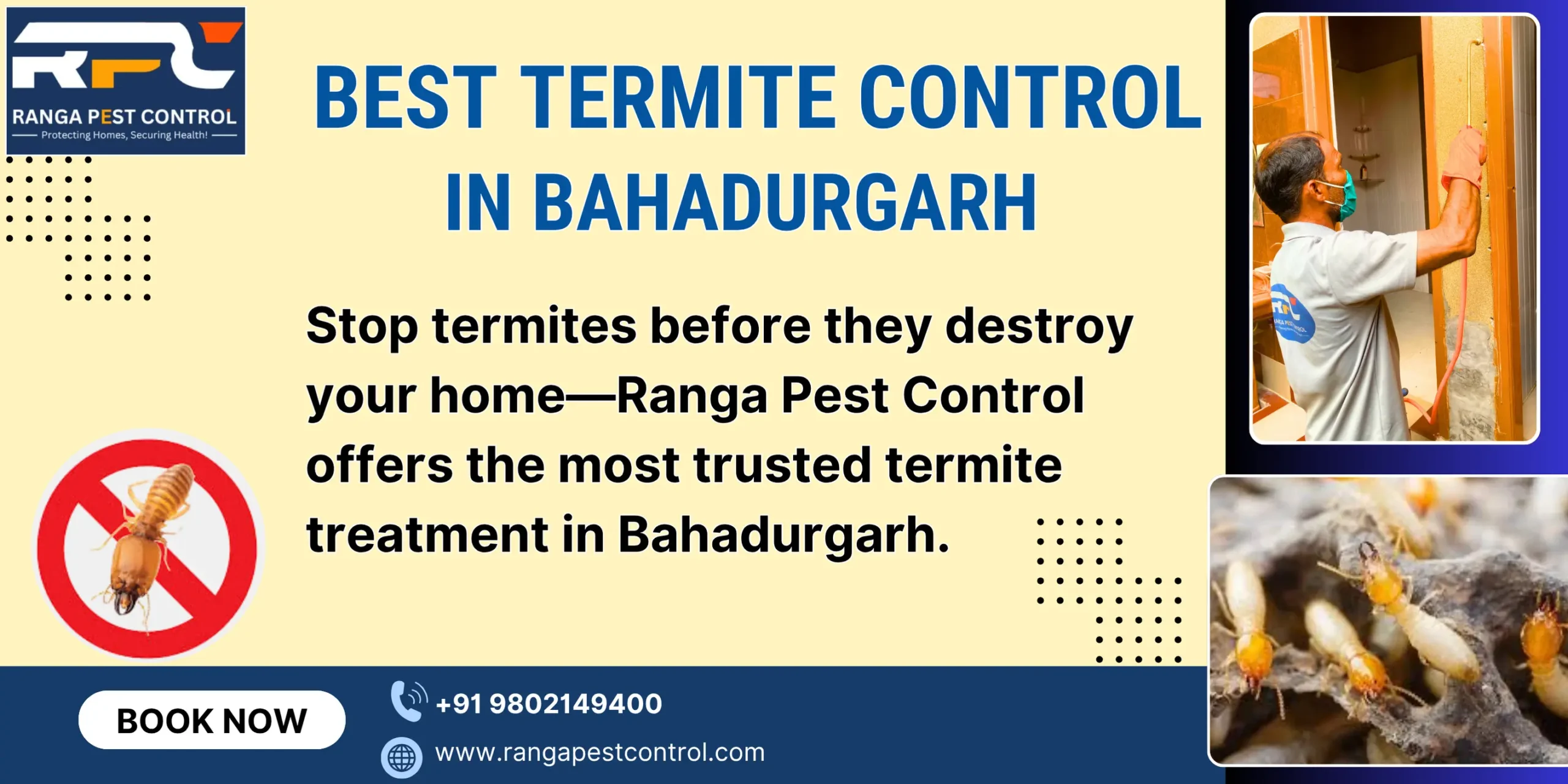Best Termite Control in Bahadurgarh