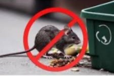 Rat Control in Gurugram
