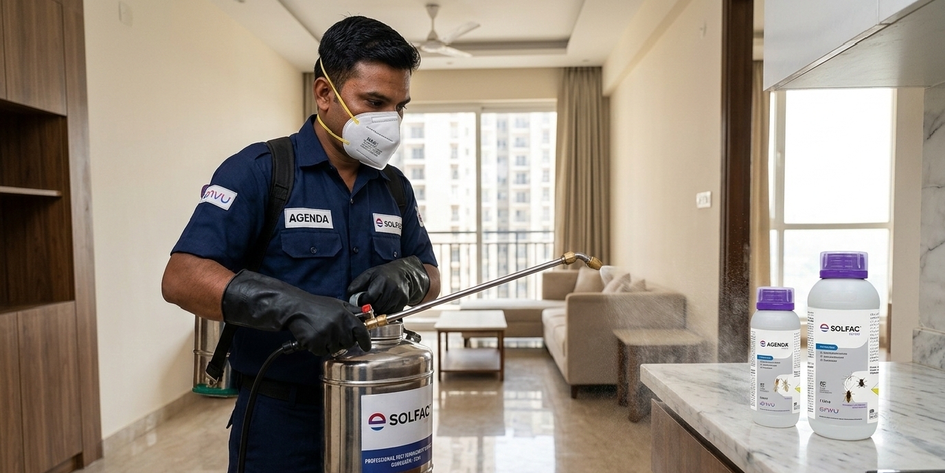 Termite Control in Rohtak