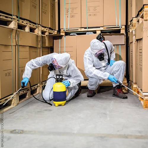 Commercial Pest Control in Gurugram