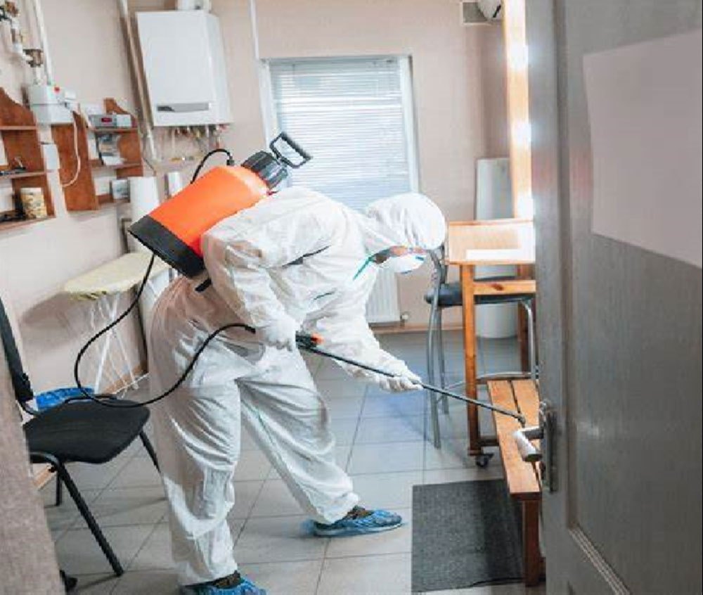 Commercial Pest Control for Hotels in Rohtak