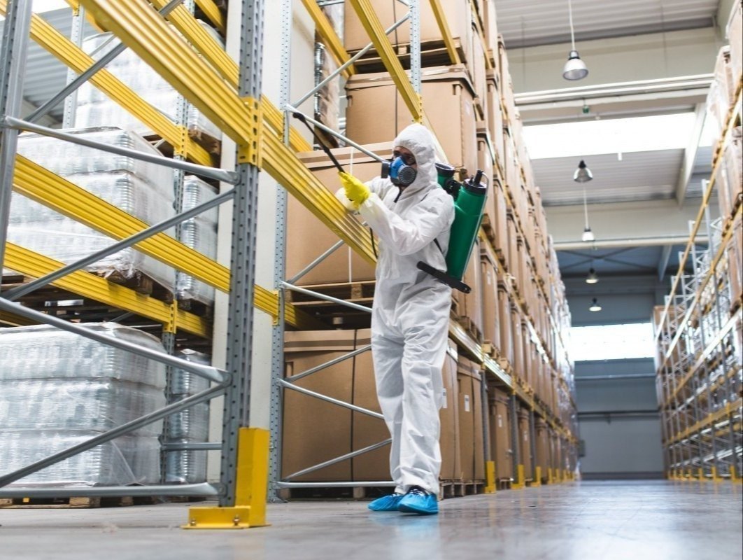 Pest Control Service in Sector 14 Gurgaon