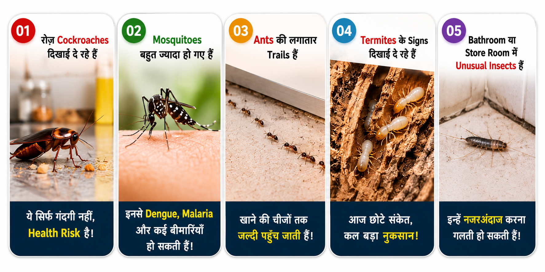 Monsoon Pest Control in Gurugram